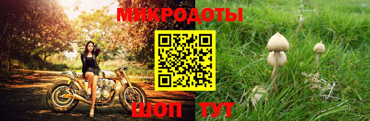 Галлюциногенные грибы GOLDEN TEACHER  Вход с VPN  Кинешма  Галлюциногенные грибы GOLDEN TEACHER 